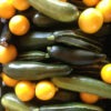 organic-courgettes