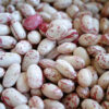 borlotti-beans