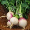 turnips